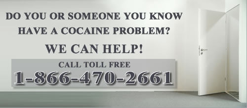 Cocaine Facts | Interesting Cocaine Facts 